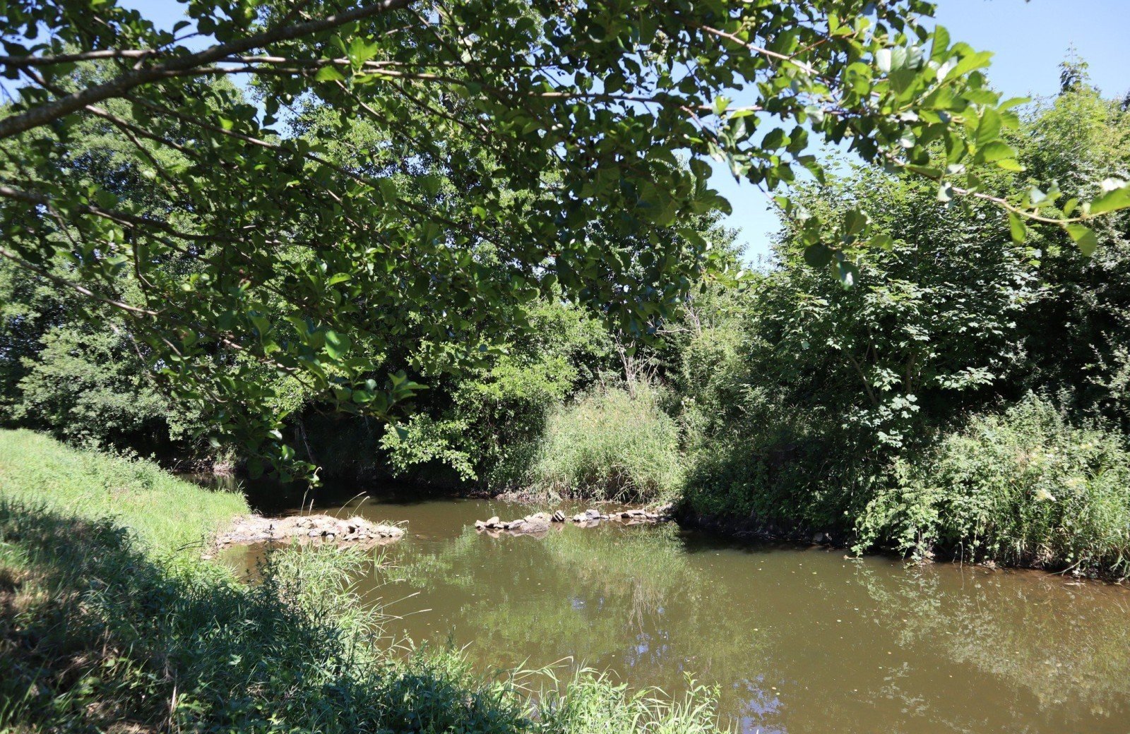 Camping aux deux eaux 4